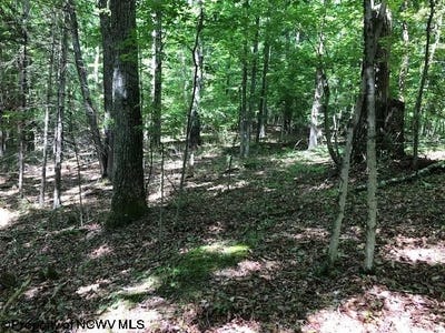 /international/us/harpertown-road-elkins-wv-110092403983/