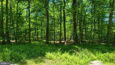 /international/us/mink-farm-road-thurmont-md-110108424608/