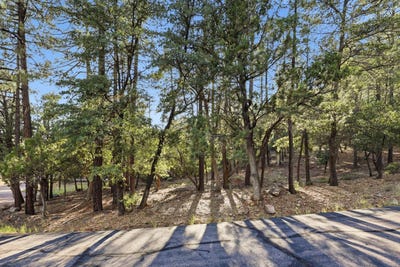 /international/us/98-trails-end-drive-lot-98-pine-az-110120496552/