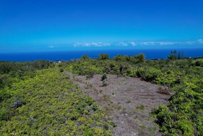 /international/us/piha-homesteads-papaaloa-hi-110097594133/