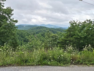 /international/us/pine-mtn-way-lot-6-sevierville-tn-110108496234/