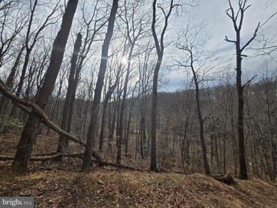 /international/us/parcel-22-sams-creek-road-new-windsor-md-110106297195/