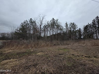 /international/us/l27-1-jensis-rd-castleton-ny-110106959859/
