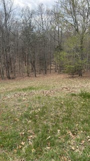 /international/us/gilfield-dr-lot-2-forest-va-110106916908/