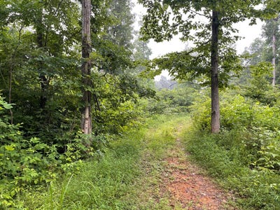 /international/us/000-dunn-bridge-rd-heltonville-in-110100781020/