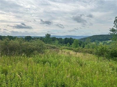 /international/us/sisson-hill-road-unadilla-ny-110104871367/