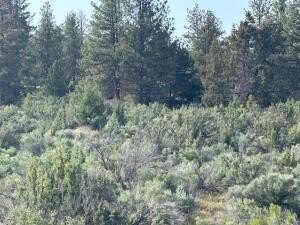 /international/us/council-butte-lot-7-beatty-or-110106034082/