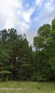 /international/us/950-hazelwood-drive-lot-6-lake-cormorant-ms-110107287899/