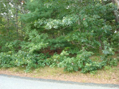 /international/us/15-signal-hill-drive-dennis-ma-110102542930/