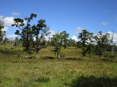 /international/us/pahoa-hi-110072945332/