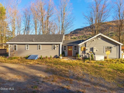 /international/us/12295-state-highway-23-ashland-ny-110103256599/