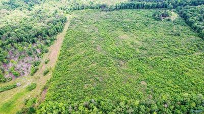 /international/us/10-acres-county-road-14-flat-rock-al-110101231133/?lang=zh-tw