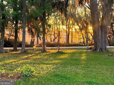 /international/us/brigantine-dunmore-road-midway-ga-110120885818/