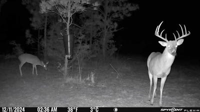/international/us/6122-tx-state-hwy-63-e-jasper-tx-110108693909/