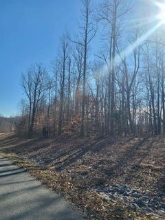 /international/us/coppersmith-cove-lot-r21-eddyville-ky-110106728596/