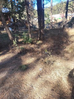 /international/us/23-valley-ave-mayhill-nm-110104157238/