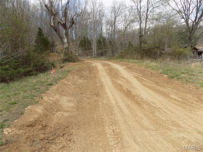 /international/us/38320-highway-21-lesterville-mo-110106150374/