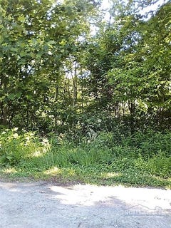 /international/us/n-321-highway-sugar-grove-nc-110108467077/