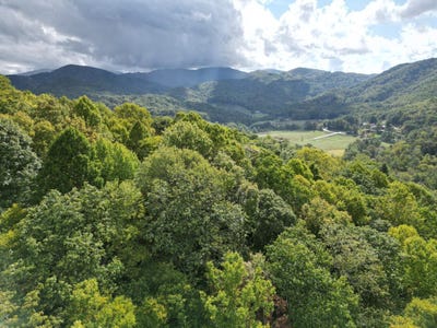 /international/us/0-mountain-flower-dr-banner-elk-nc-110095389733/?lang=zh-tw