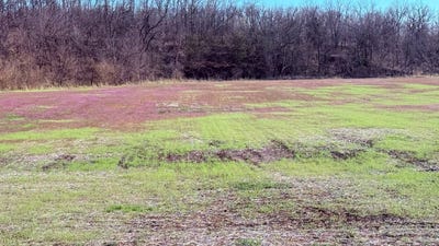 /international/us/0-136-and-west-120th-avenue-new-hampton-mo-110106979521/