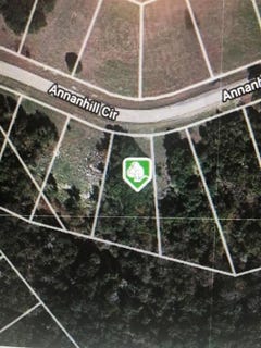 /international/us/6132-annanhill-circle-cleburne-tx-110101076534/