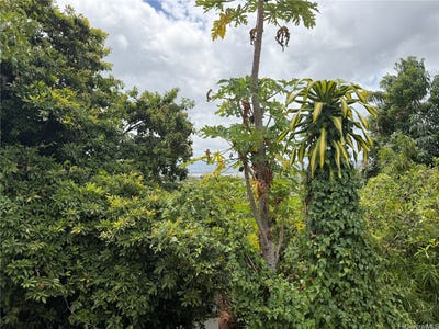 /international/us/1358-wanaka-street-honolulu-hi-110101314994/?lang=zh-tw