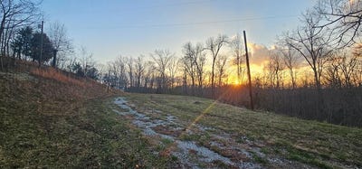 /international/us/127-diamond-ridge-rd-webbville-ky-110106328218/