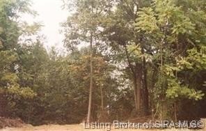 /international/us/3704-mirville-court-floyds-knobs-in-110102149174/