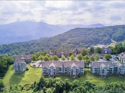 /international/us/1260-ski-view-drive-gatlinburg-tn-110104503490/
