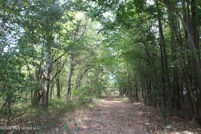 /international/us/6-star-landing-road-nesbit-ms-110120118512/