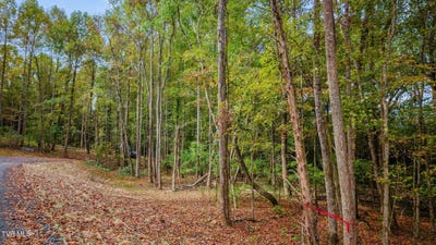 /international/us/mary-patton-highway-lot-4-elizabethton-tn-110120483607/