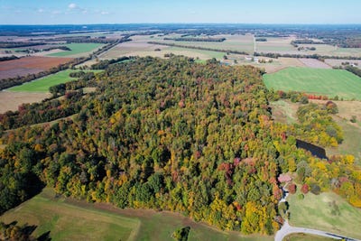 /international/us/001-olmsted-rd-villa-ridge-il-110107892893/