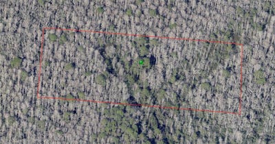 /international/us/no-street-de-leon-springs-fl-110100128105/