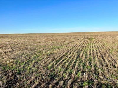 /international/us/county-road-j-brewster-ks-110120457902/