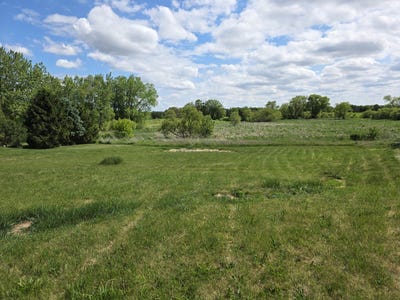 /international/us/1375-pheasant-trail-lot-18-hampshire-il-110108256985/