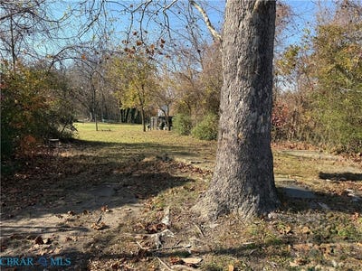 /international/us/102-s-freeman-street-blackstone-va-110103602323/