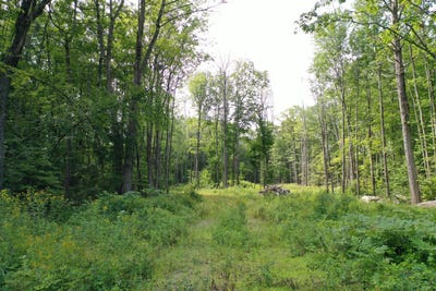 /international/us/255-ross-corner-road-shapleigh-me-110119686254/