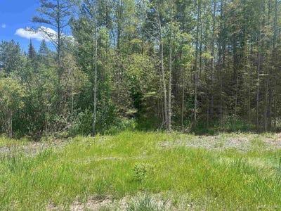 /international/us/l-road-escanaba-ca-110108959795/