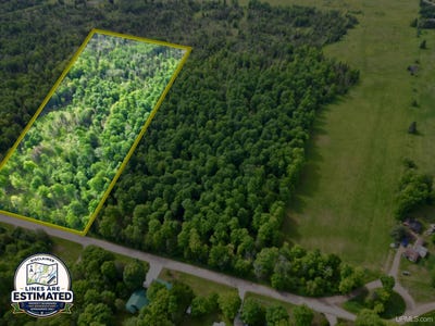 /international/us/river-j-5-parcel-a-lane-cornell-mi-110108909997/