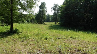 /international/us/580-pleasant-cemetery-lane-gainesboro-tn-110120155488/