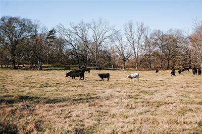 /international/us/ralph-bridges-road-lexington-ga-110107749579/