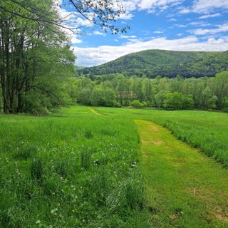 /international/us/0-maier-lane-middlebury-center-pa-110092338656/?lang=zh-cn