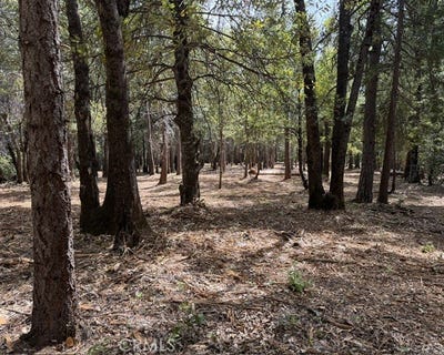 /international/us/0-platt-mountain-road-forest-ranch-ca-110108346289/