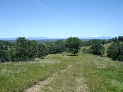 /international/us/lot-58-pimlico-court-cottonwood-ca-110096832740/