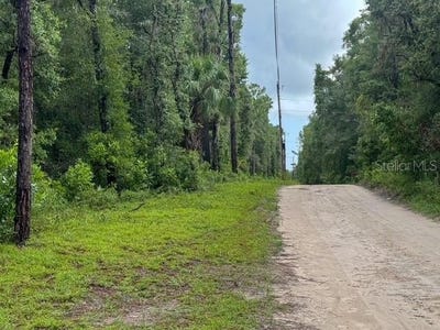 /international/us/tbd-nw-97-court-chiefland-fl-110100778503/