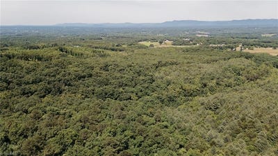 /international/us/xx-44-93-acres-stardust-trail-mount-airy-nc-110099082459/