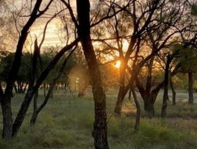 /international/us/495-buffalo-creek-lot-95-dr-evant-tx-110105796381/