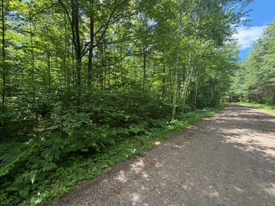 /international/us/maplestone-rd-lot-2-minocqua-wi-110108982118/