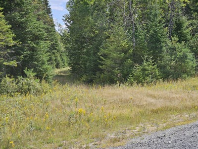 /international/us/lot-17-daugneau-trail-merrillsville-ny-110094622980/?lang=zh-tw
