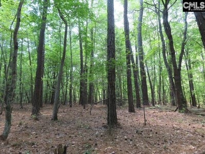 /international/us/0-park-road-ridgeway-sc-110100832725/?lang=zh-cn